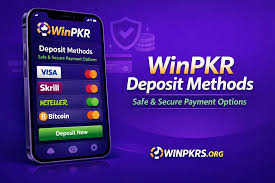 WinPKR Login Guide Pakistan